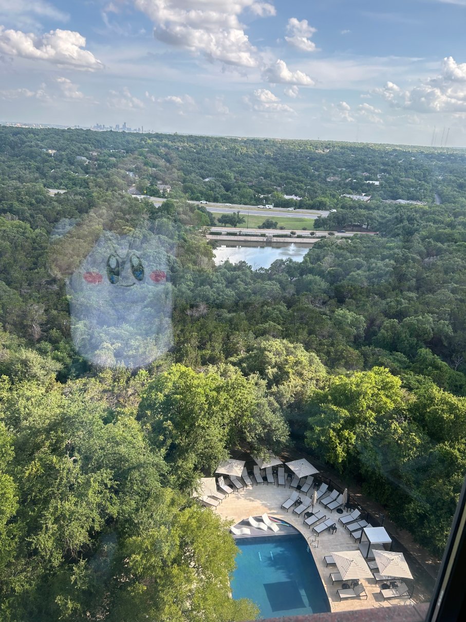 奥斯汀万丽酒店-酒店景观