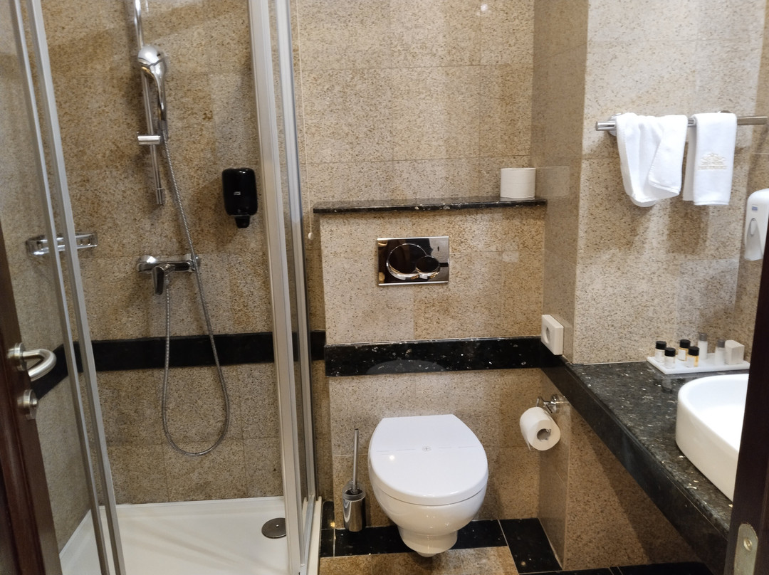 Hotel And Spa Palic Resort主图