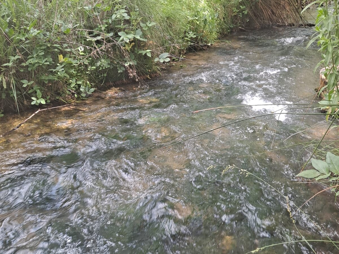 Ruta del Zarzalar-Nerpio必去景点