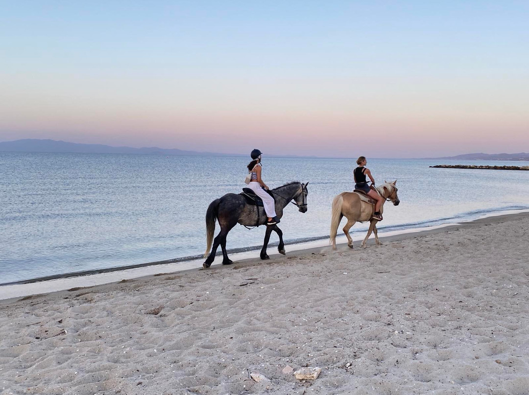 Horse-Ranch Manippos Halkidiki-Kassandra必去景点