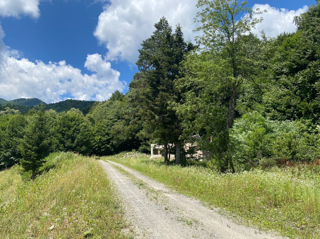 Lotrisor Waterfall-Calimanesti必去景点
