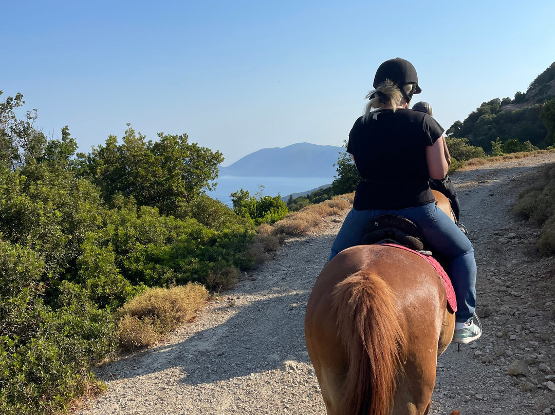 Bavarian Horse Riding Stables-萨米必去景点