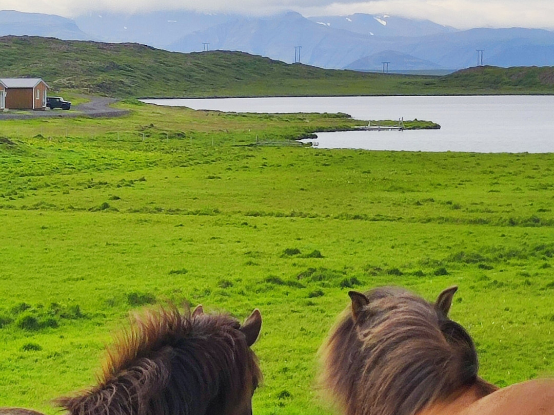 Helgafell-Stykkisholmur必去景点