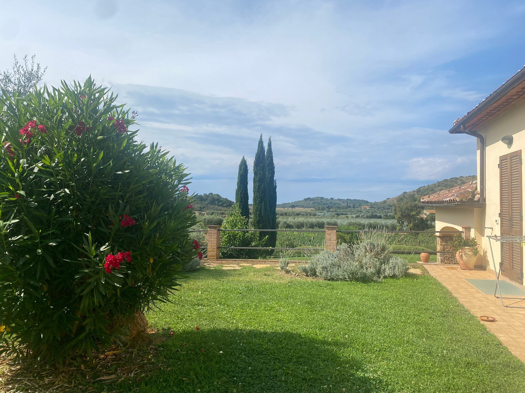 B&B Il Giardino主图