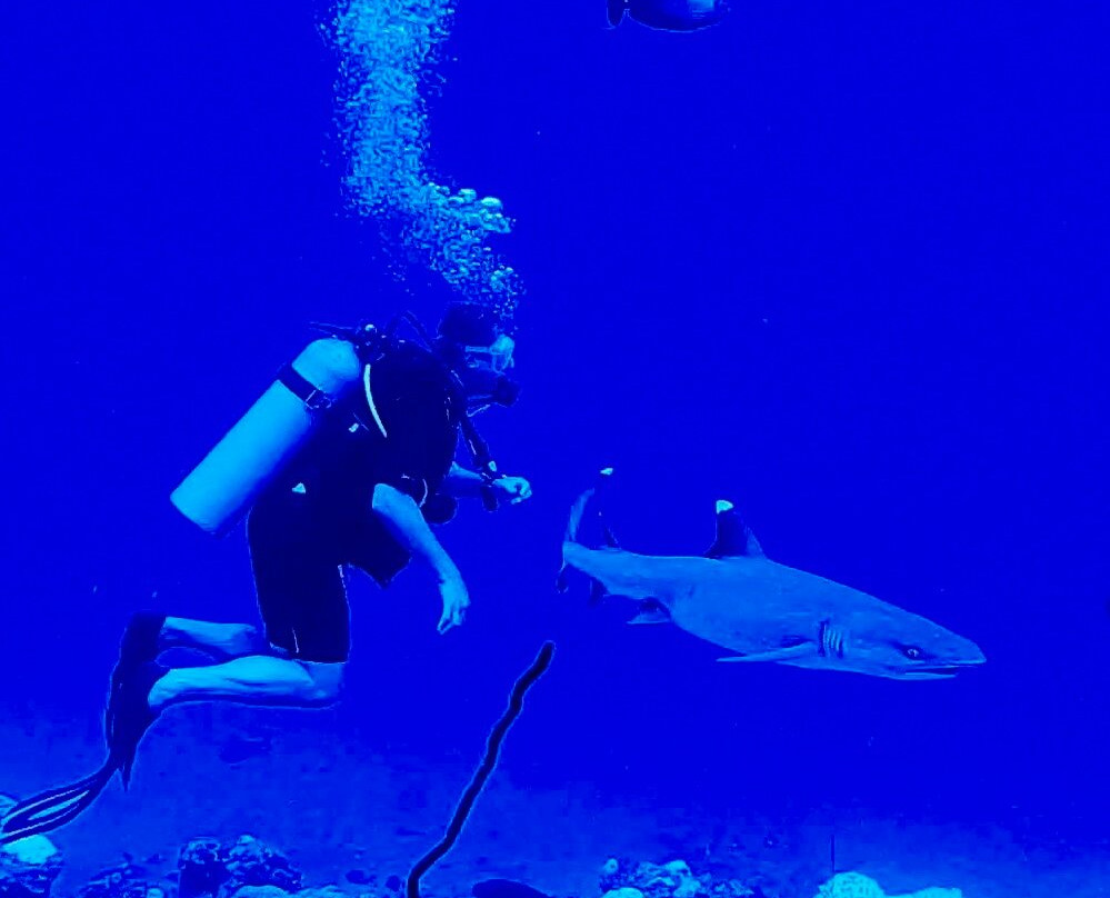 IDive Thudufushi景点图片