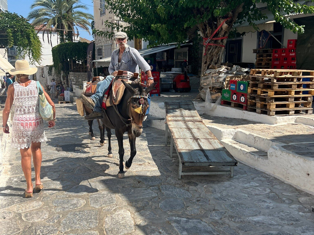 Douskos Guesthouse主图