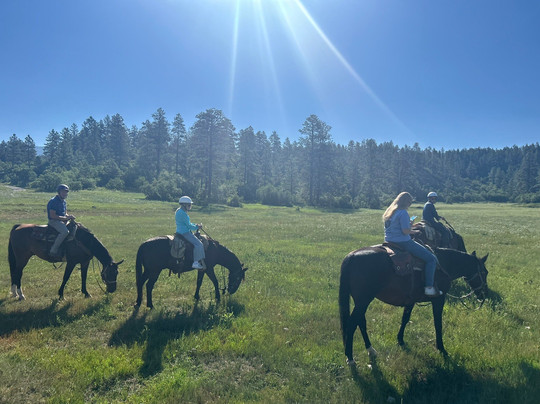 Majestic Outfitters-帕戈萨斯普林斯必去景点