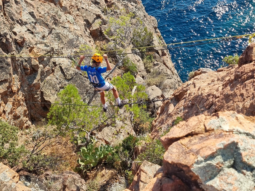 Camp 4-尼斯必去景点