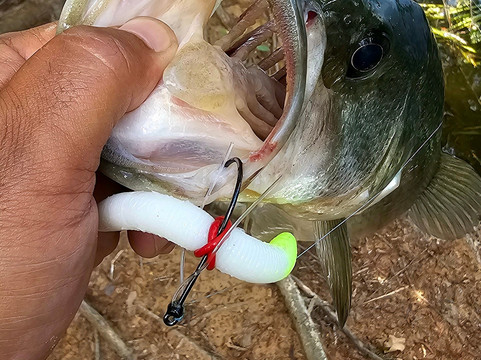 Lake Bastrop-巴斯特罗普必去景点