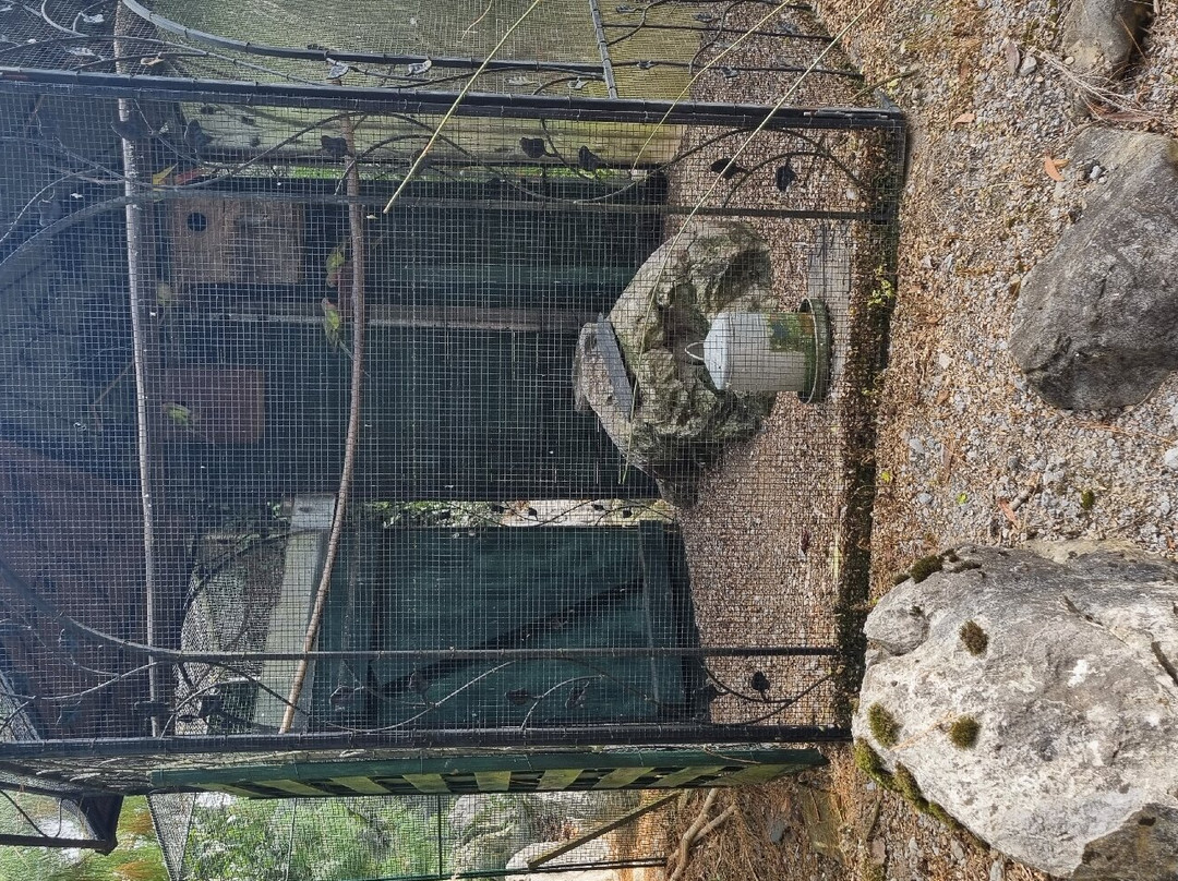 Parc Floral et Animalier Oihanartea景点图片