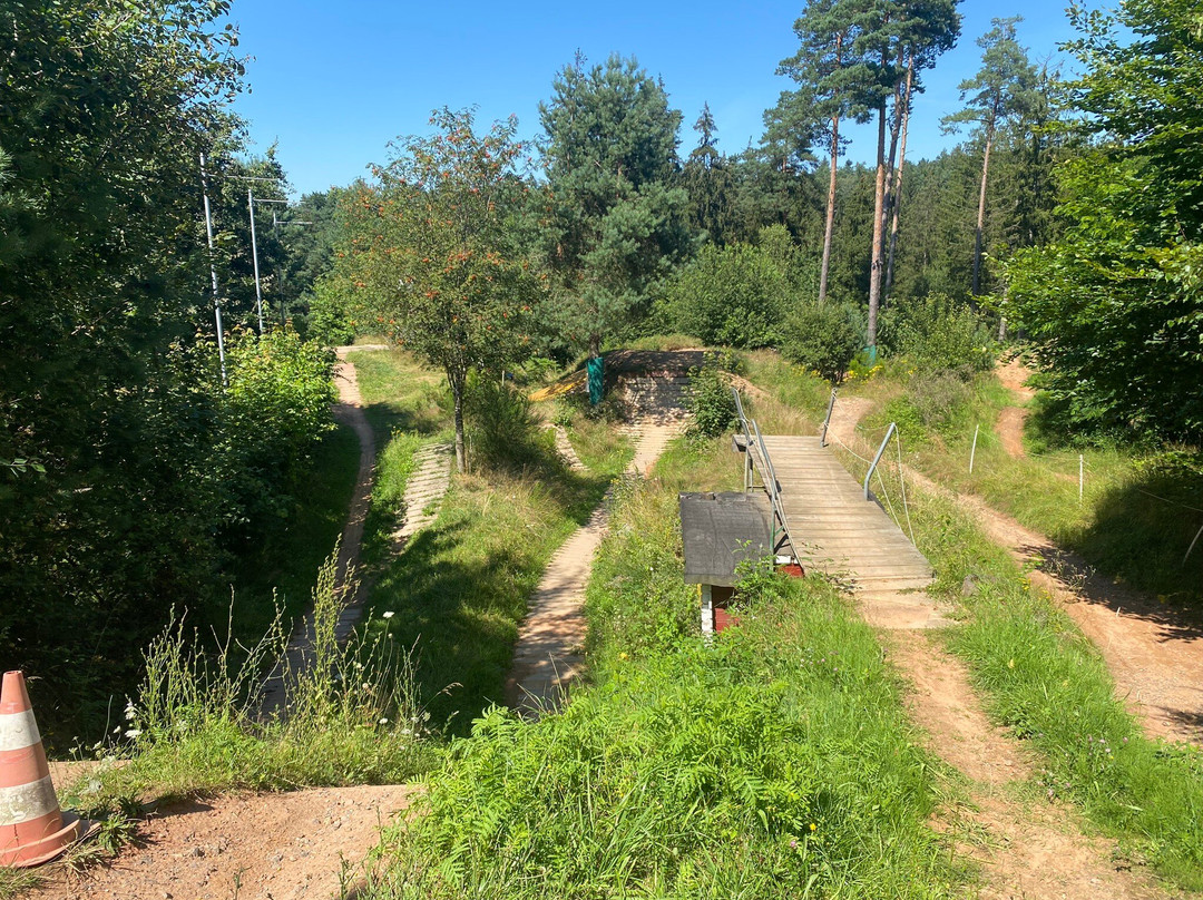 Bikepark Trippstadt景点图片