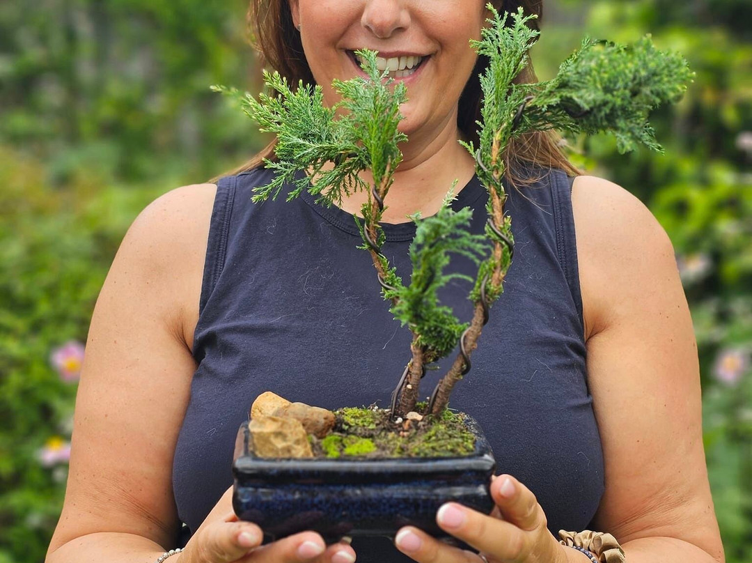 Create a Bonsai with Streamside Trees景点图片
