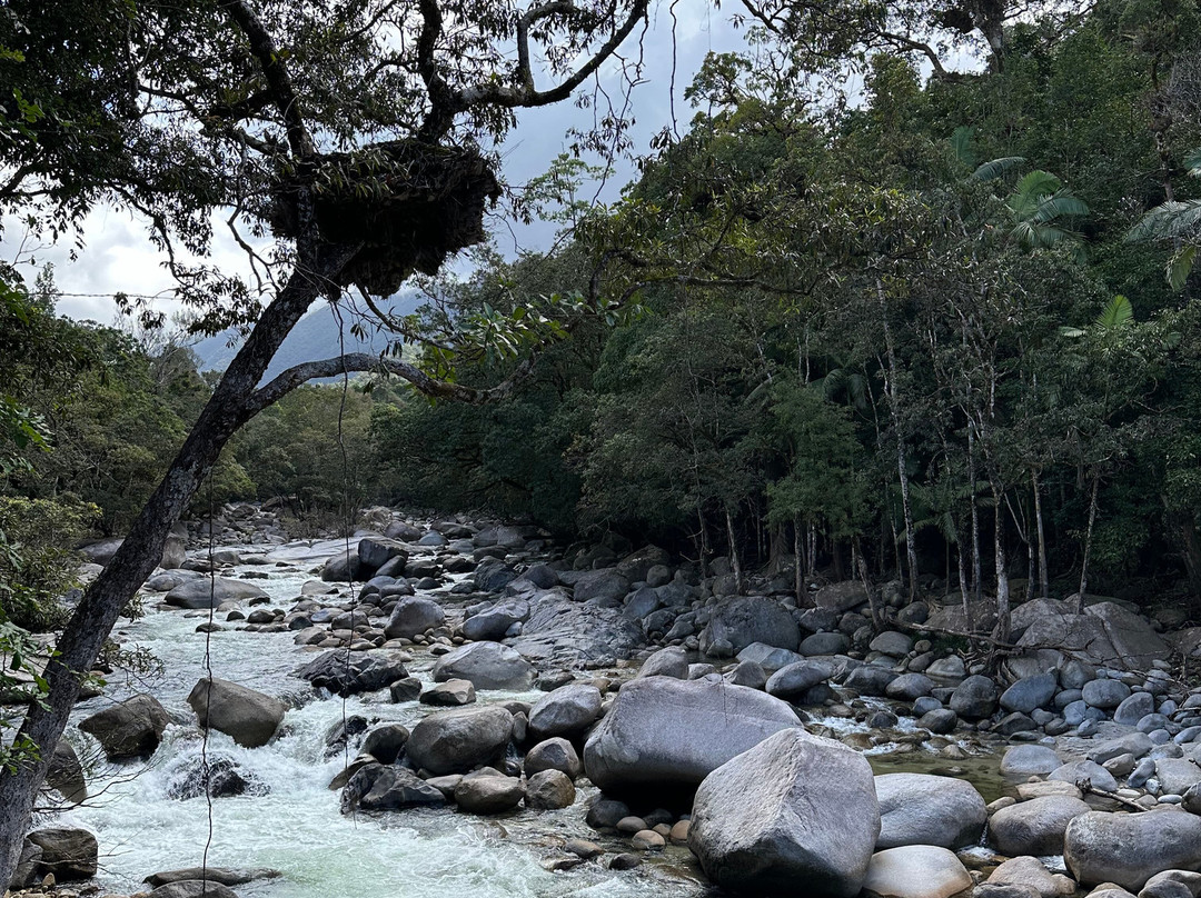 Mossman Gorge-道格拉斯港必去景点