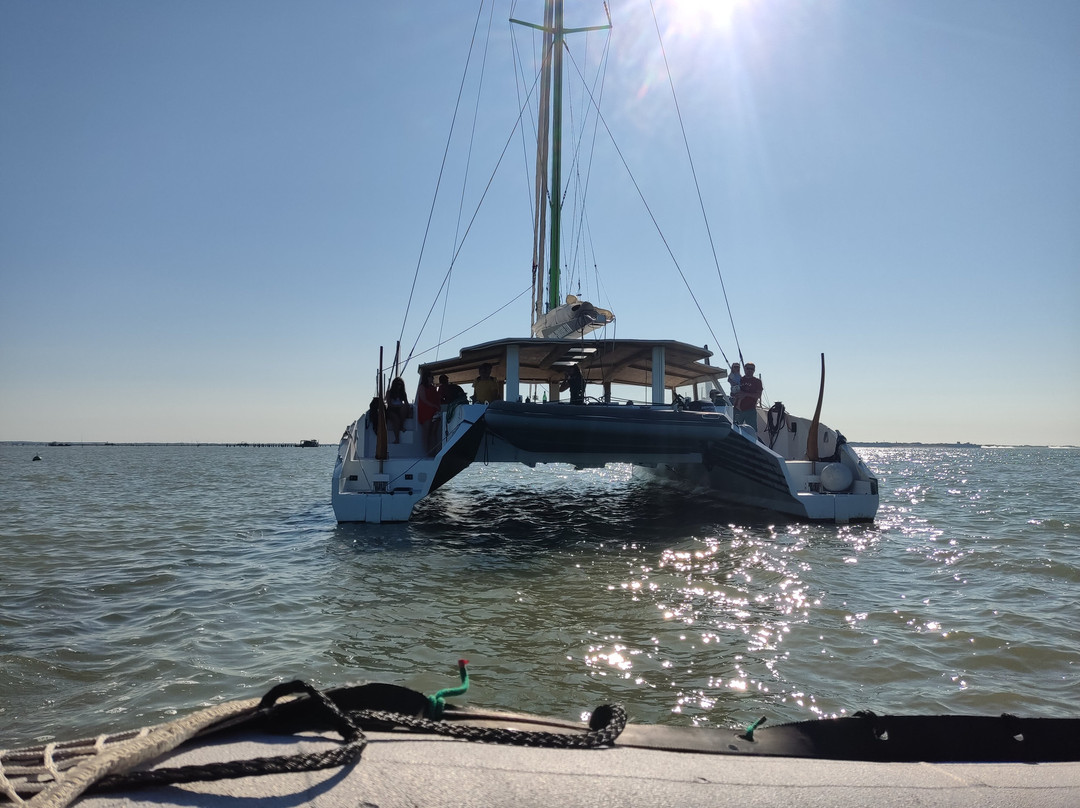 Boyard Croisière景点图片