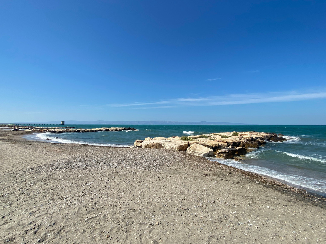 B&B Fenicottero Rosa主图