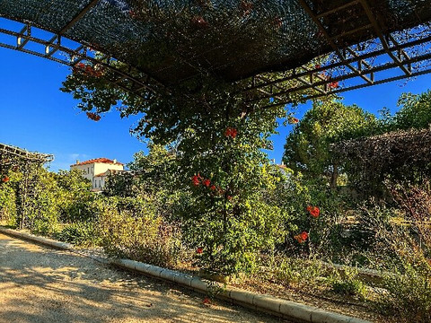 Jardin de la Ville-拉西奥塔必去景点