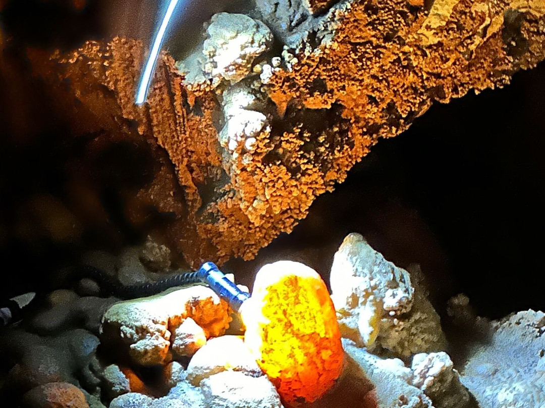 Baredin Cave-Nova Vas必去景点