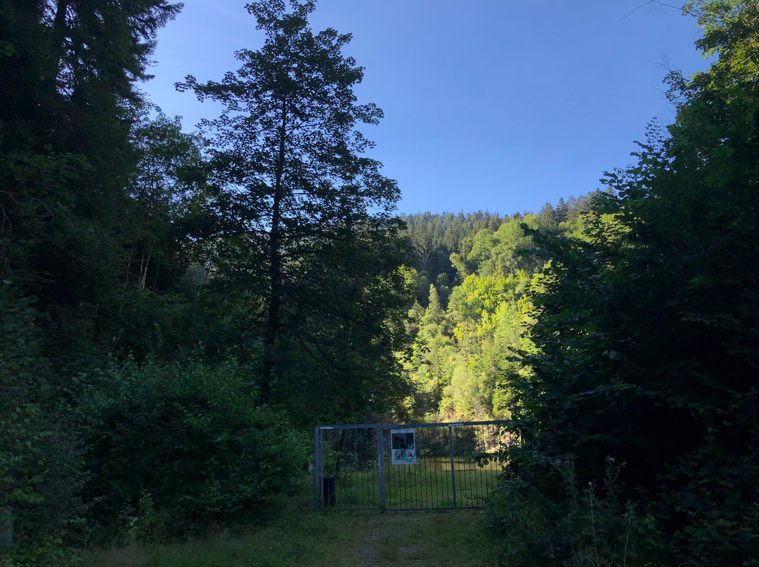 Silbersee-Schenkenzell必去景点