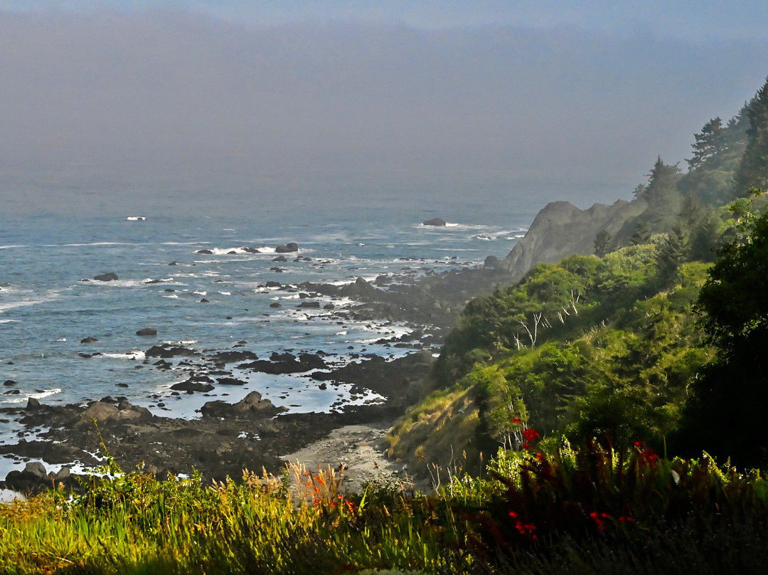 Turtle Rocks Oceanfront Inn主图