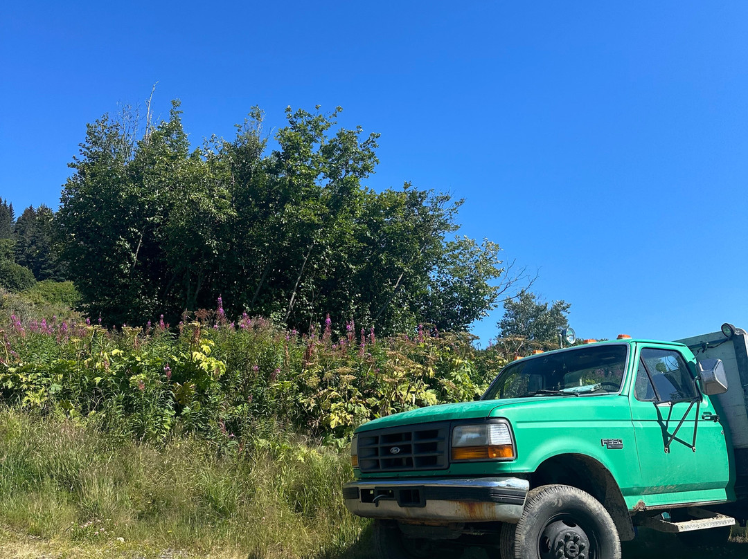 Stoked Honeybee Farm-荷马必去景点
