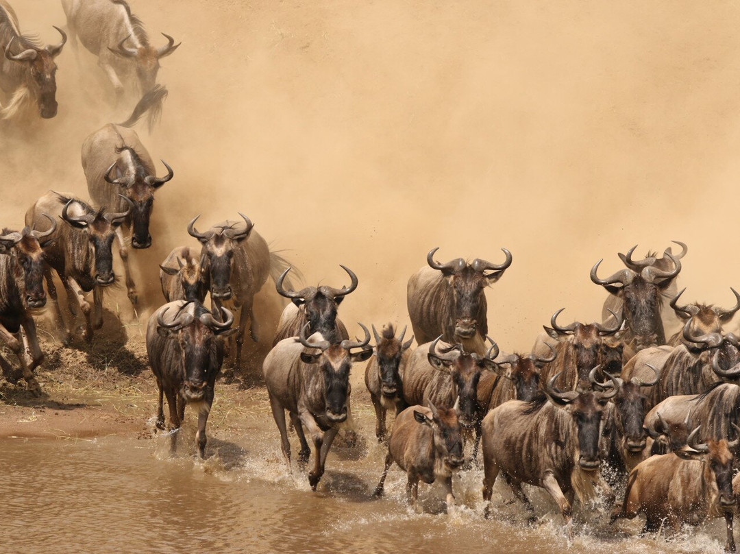 Silsila Tours & Safaris-Majengo必去景点