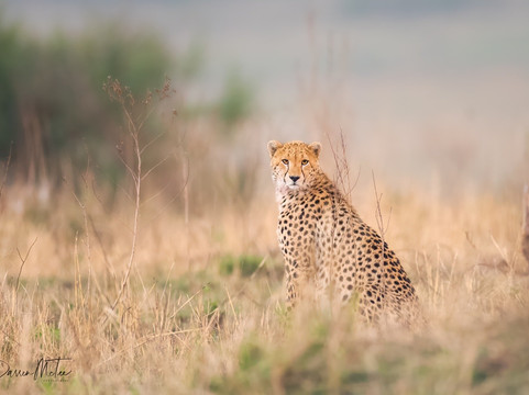 Natures Wonderland Safaris-内罗毕必去景点