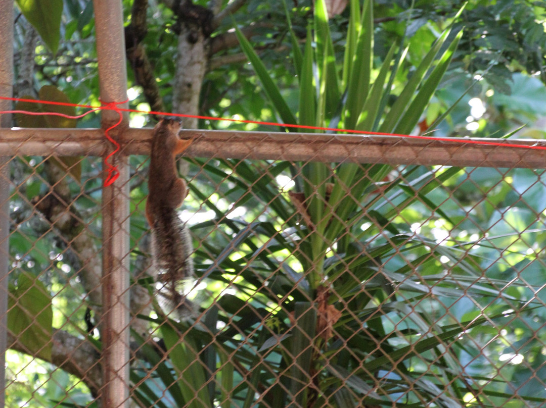 Piedades Sur酒店住宿-Hospedaje Adrimaran