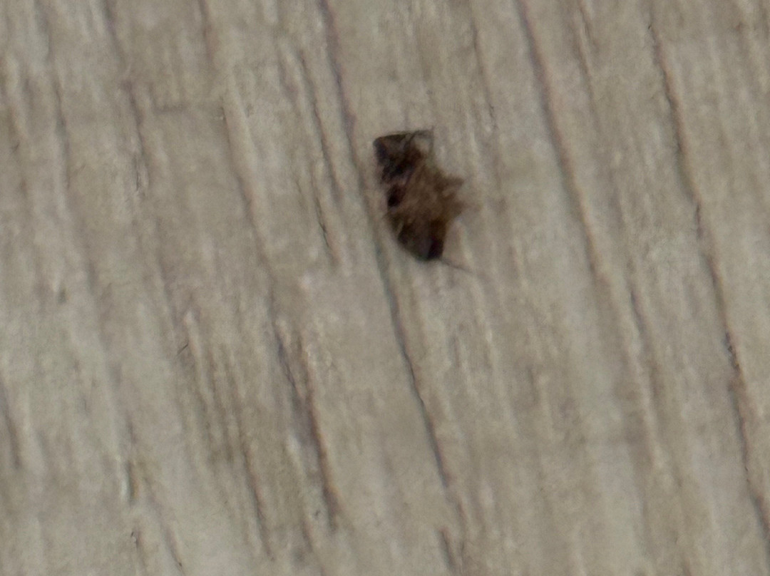 Quality Inn near Potomac Mills主图