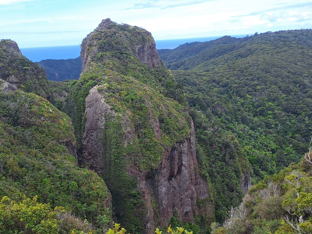 Mt Hobson via Windy Canyon-Great Barrier Island必去景点