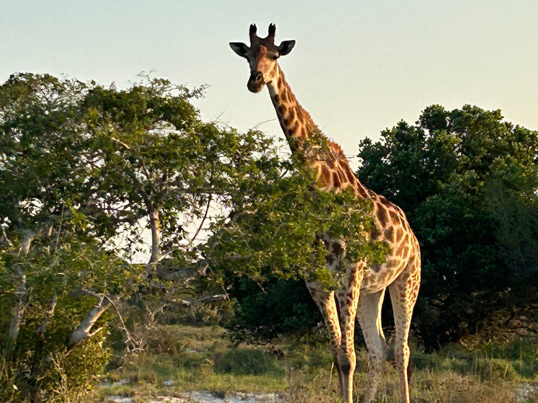 Trip to Mozambique-马布多必去景点