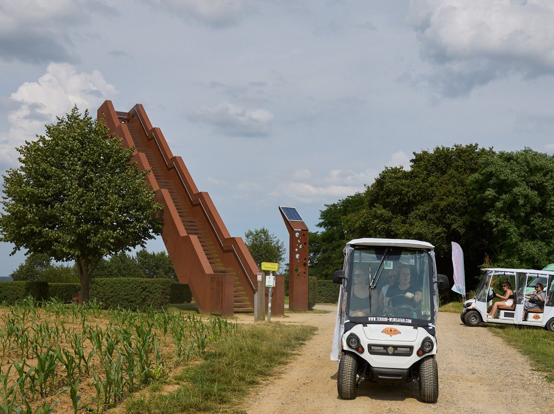 Wijnsafari in Hageland (Bekkevoort)景点图片