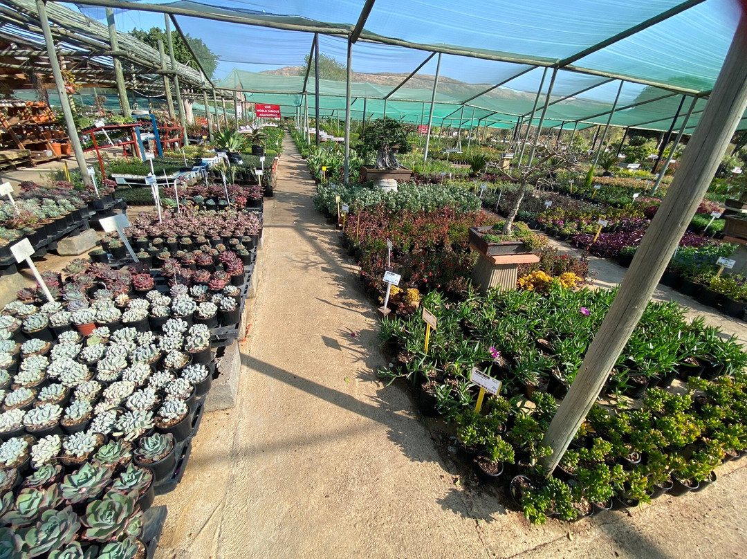 The Aloe Farm-哈特比斯普特必去景点