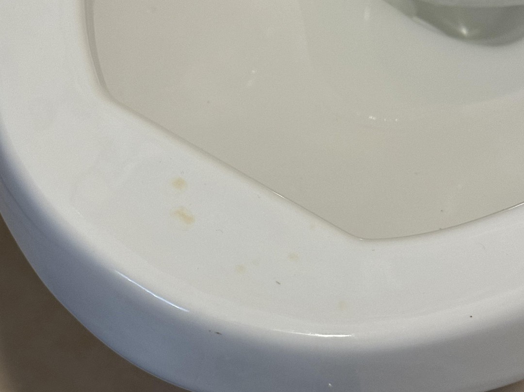 Quality Inn & Suites主图