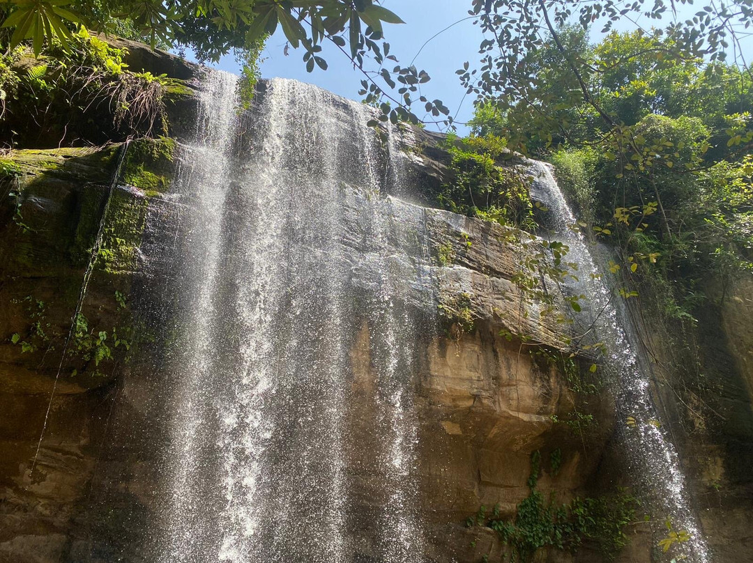 Sheldrick Falls-Kwale必去景点