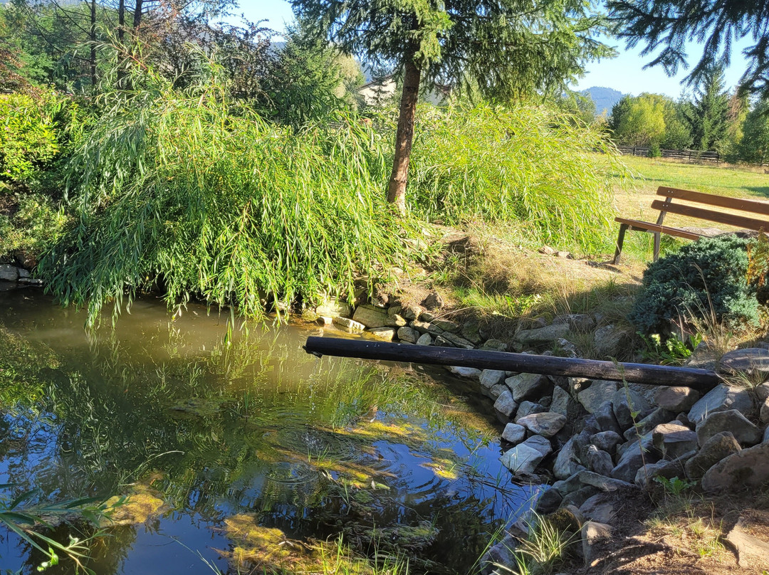 Inima Bucovinei主图