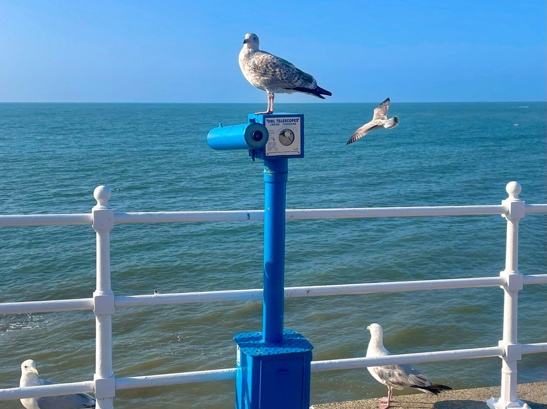 Aberystwyth North Beach景点图片