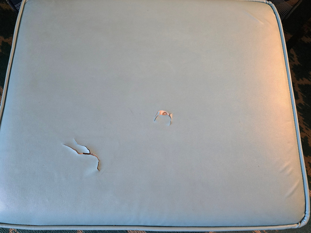 Holiday Inn Express & Suites West Ocean City By IHG主图