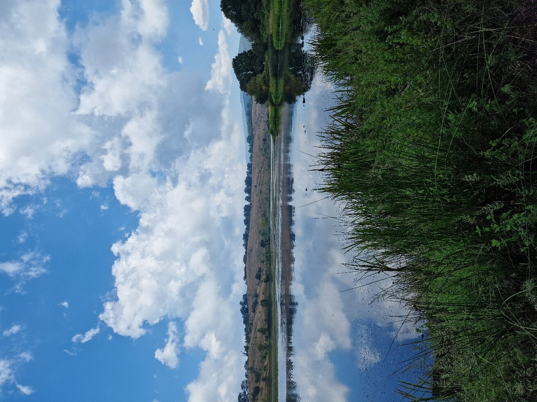 Parco dei Nebrodi-Longi必去景点