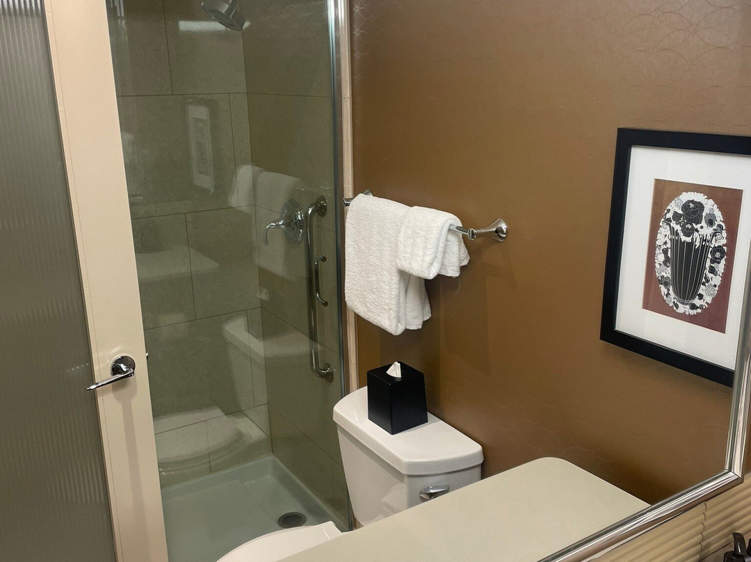 萨斯卡通喜来登骑士酒店主图