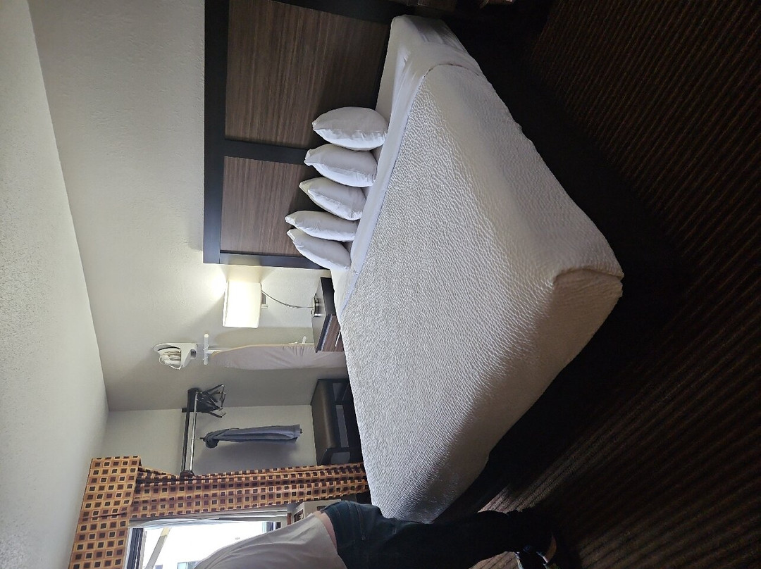 Days Inn & Suites by Wyndham Traverse City主图