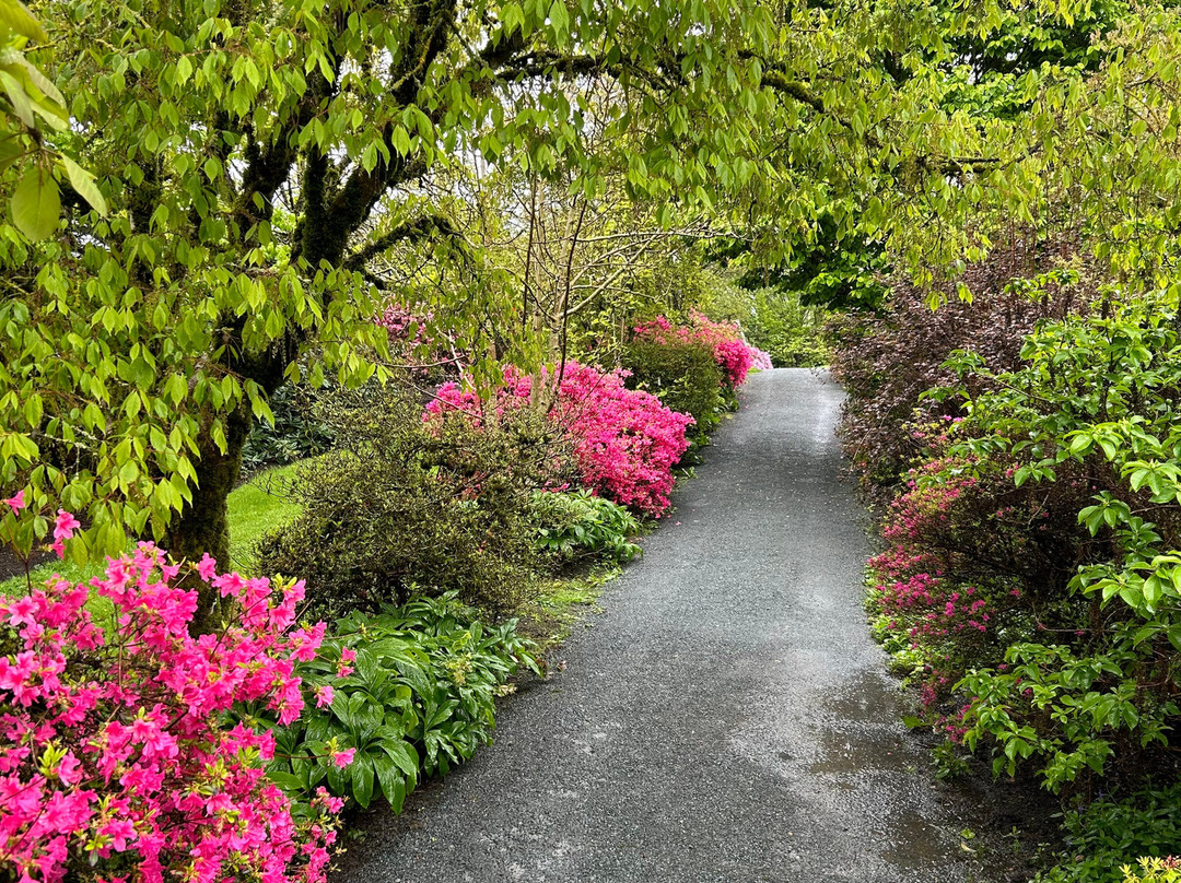 Darts Hill Garden Park-素里必去景点