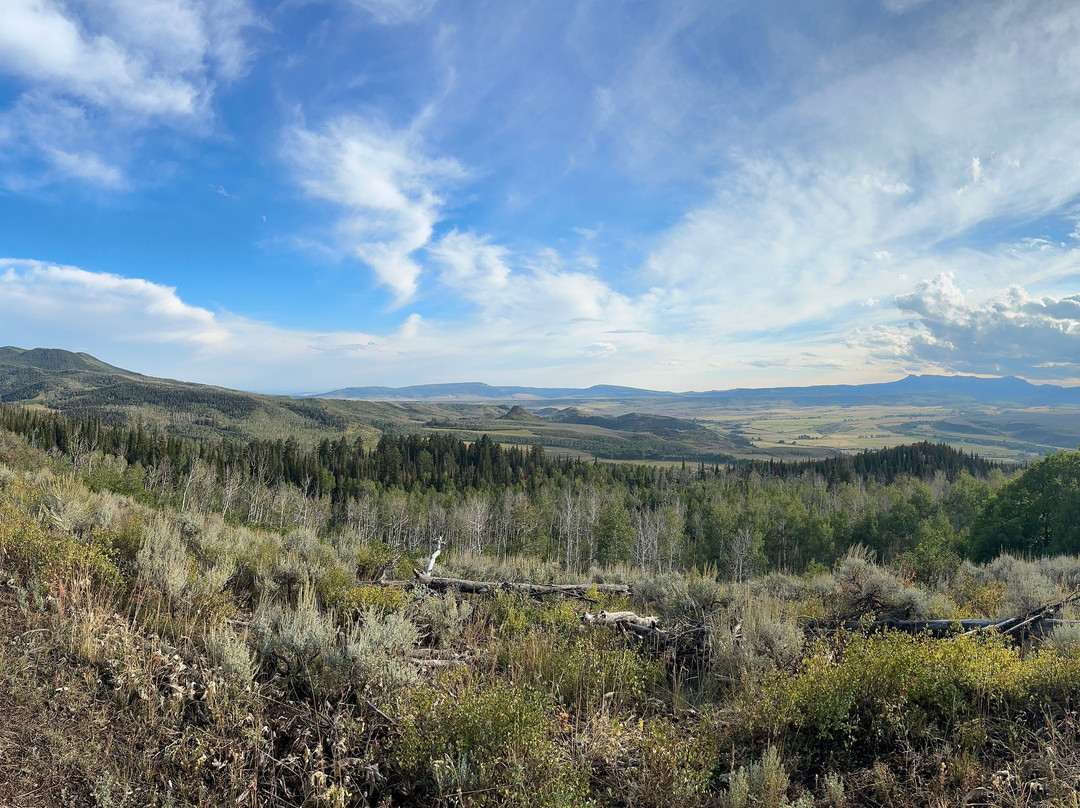 橡树溪小屋主图