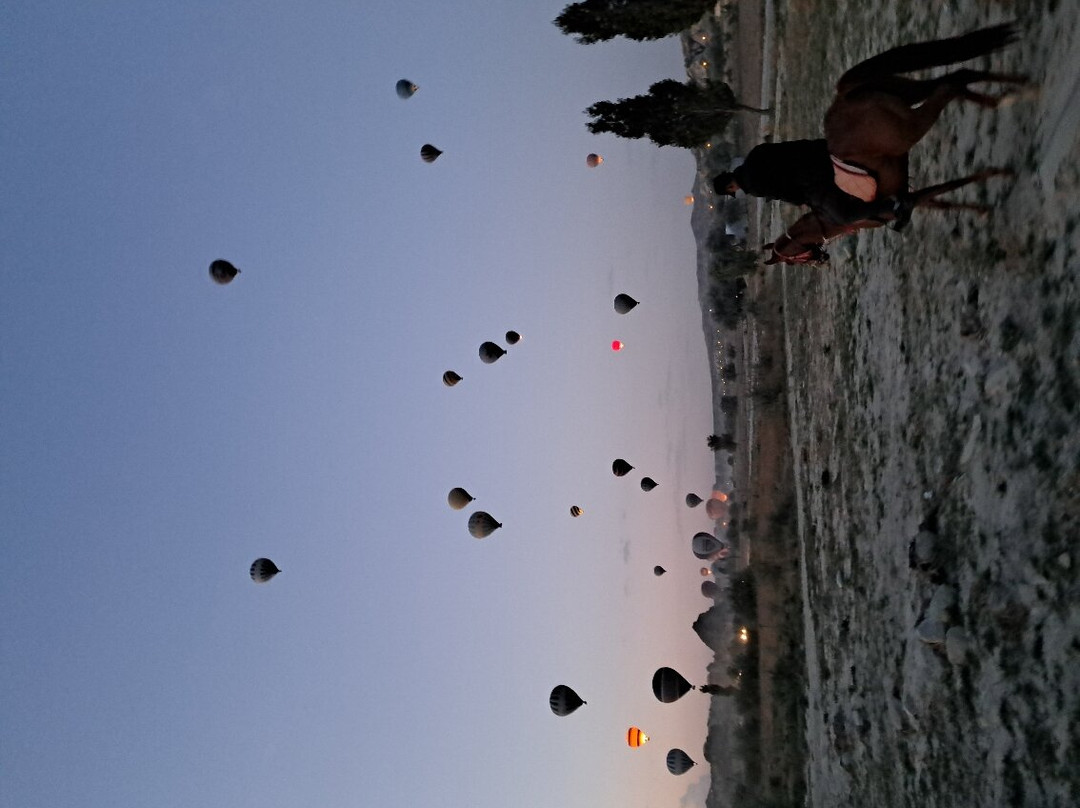 Moon Shine Horse Ranch景点图片