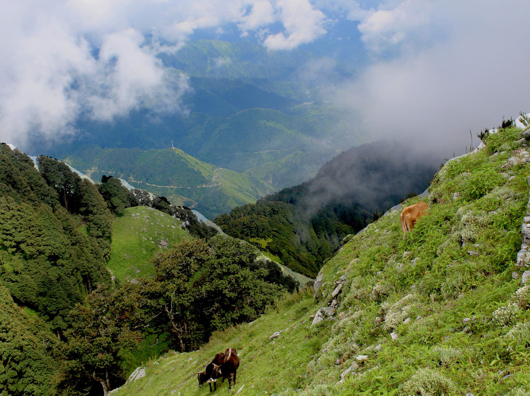 ImmVentures-昌迪加必去景点