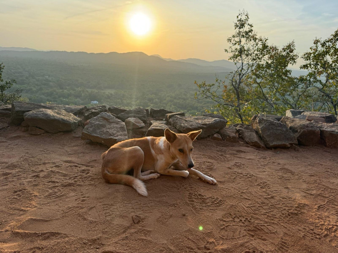 Pidurangala Royal Cave Temple-丹布拉必去景点