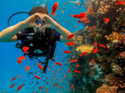 Hero Diving-沙姆沙伊赫必去景点