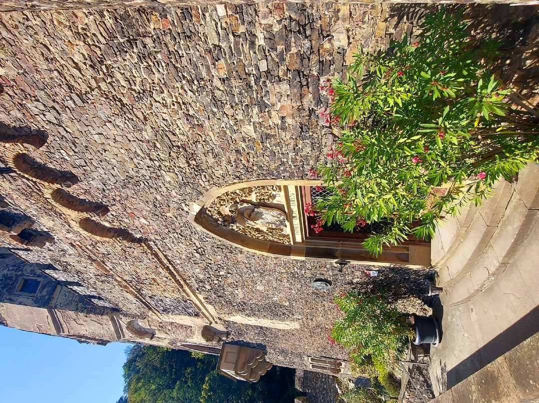 Burg Rheinstein景点图片