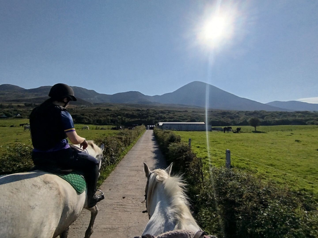 Croagh Patrick Stables-Murrisk必去景点