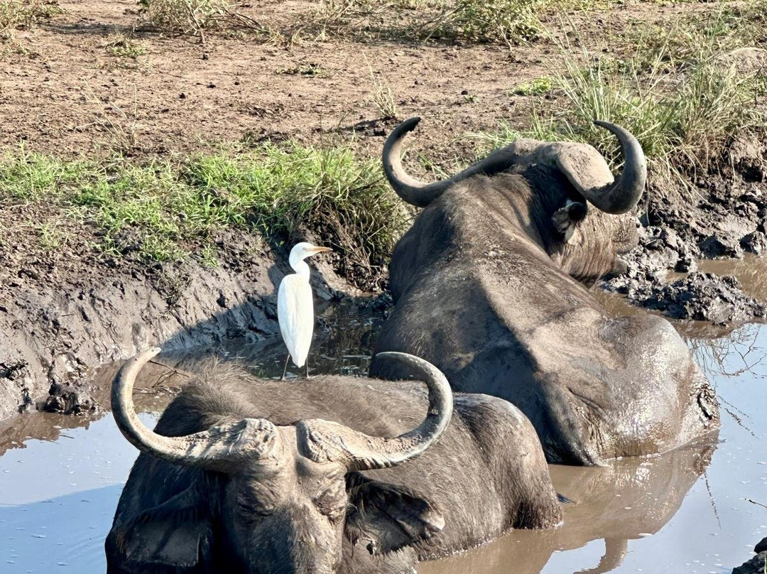 Rwizi Africa Expeditions-坎帕拉必去景点