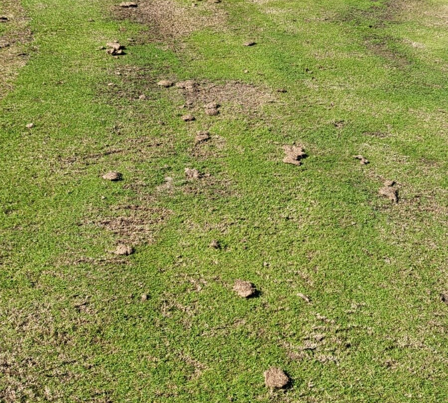 Eurovalley Golf Park Club Malacky景点图片